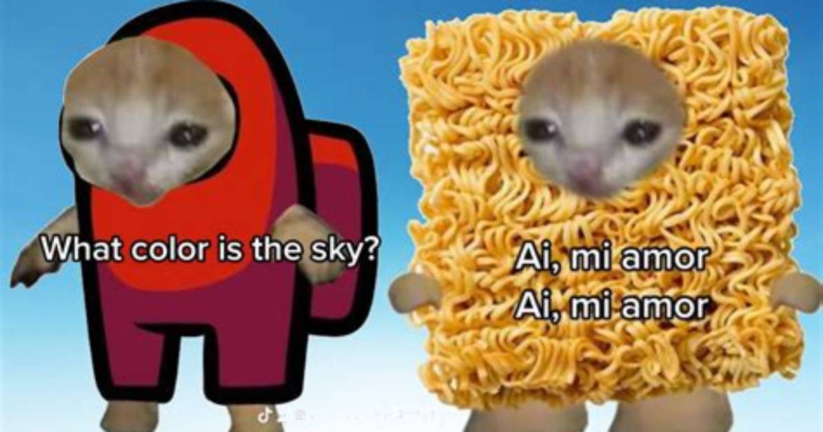 What Color Is the Sky Cat Meme Meaning Explained as Coco Song Lyrics and Pictures Go Viral