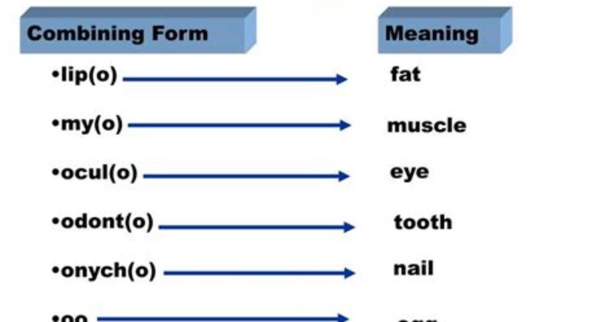 What Combining Form Means Lung?