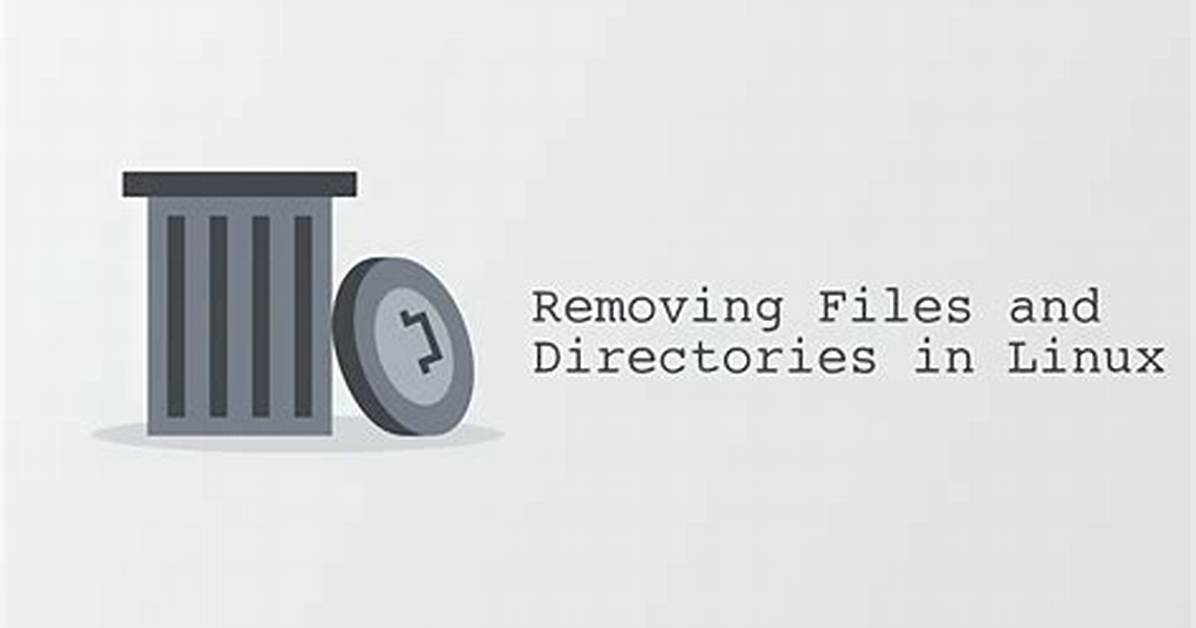 What Command Is Used to Remove Files in Unix?