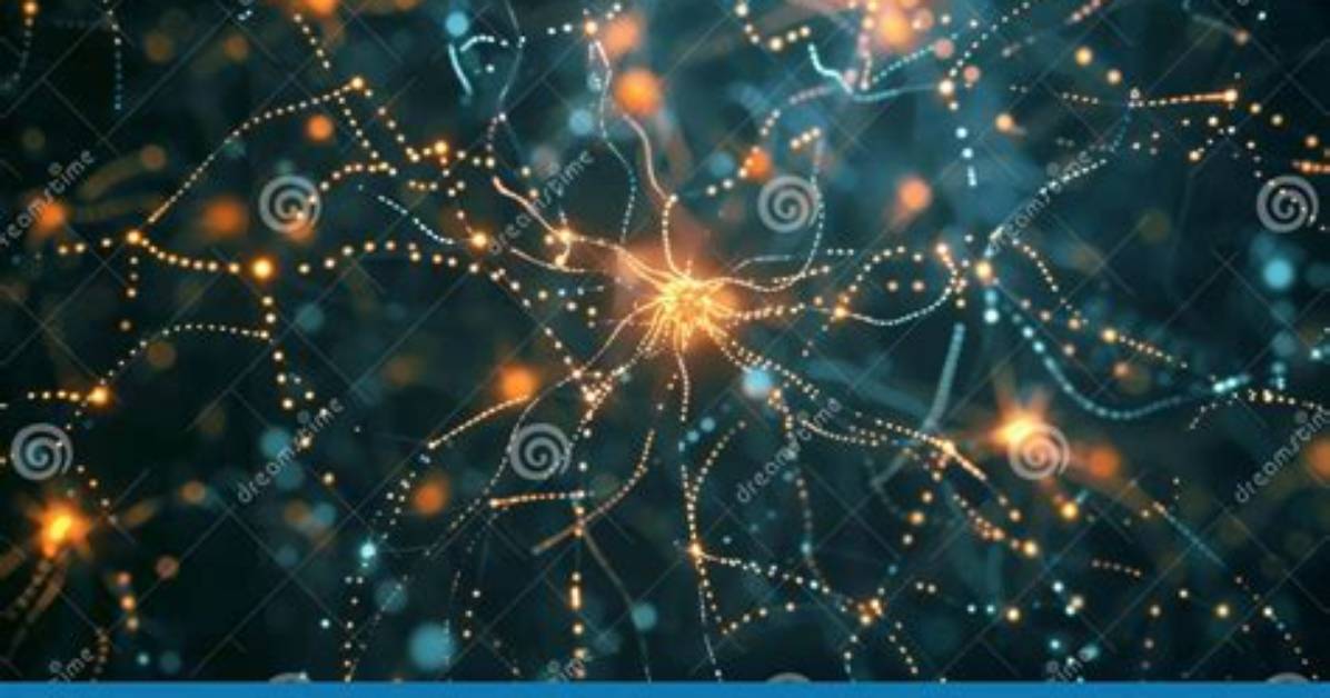 What Comprehend the Neural Signals?