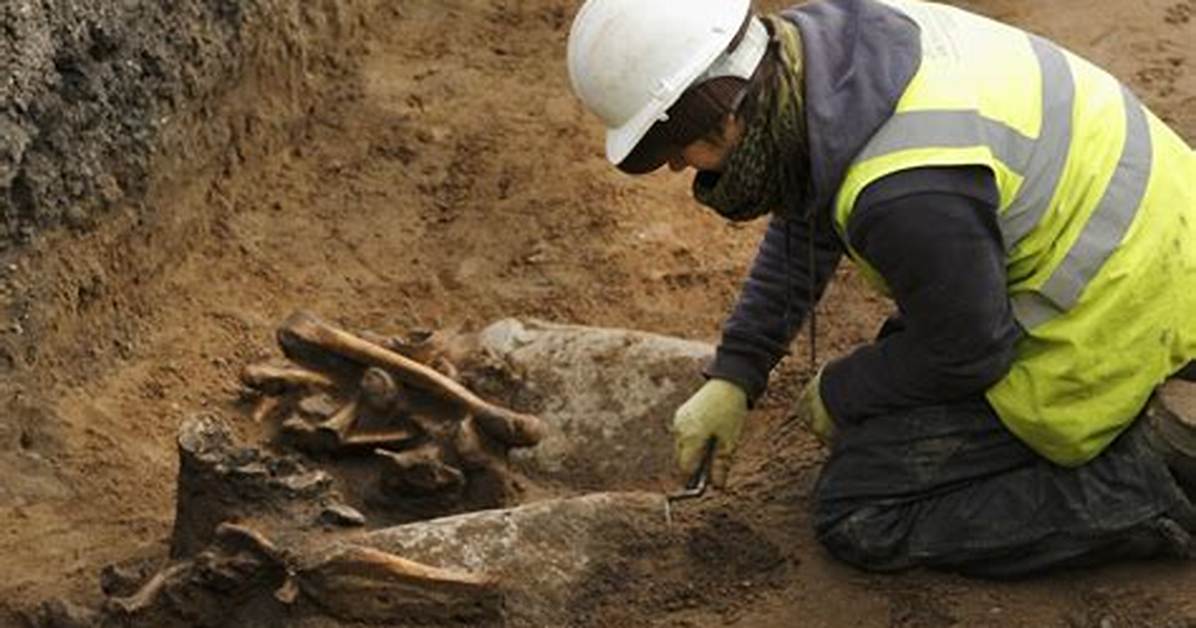 What Constitutes Human Remains