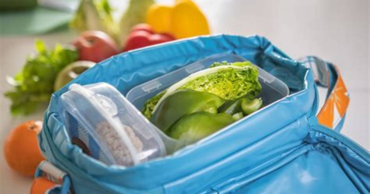 What Container Keeps Ice Cold?