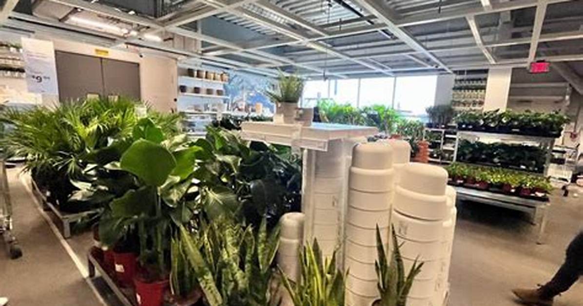 What Days Does Ikea Close