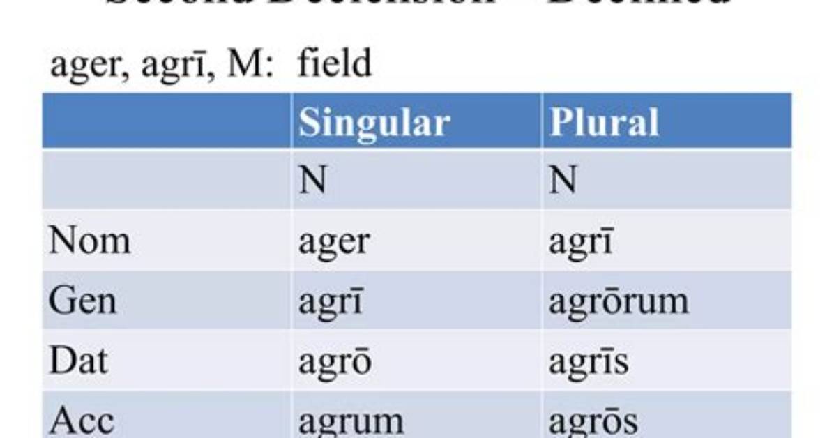 What Declension Is Ager