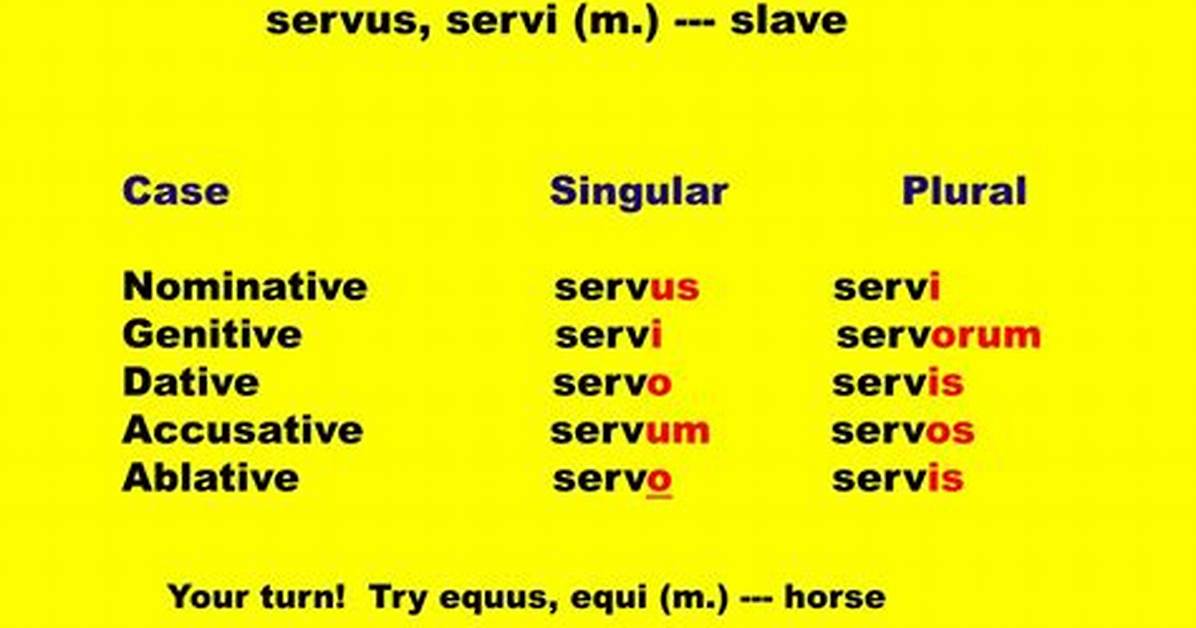 What Declension Is Servus