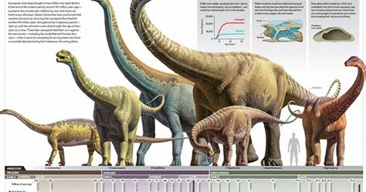 What Did Brontosaurus Evolve into?