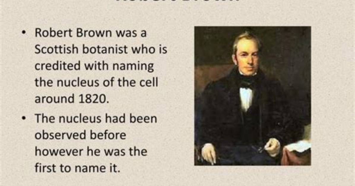 What Did Robert Brown Contribute to the Cell Theory