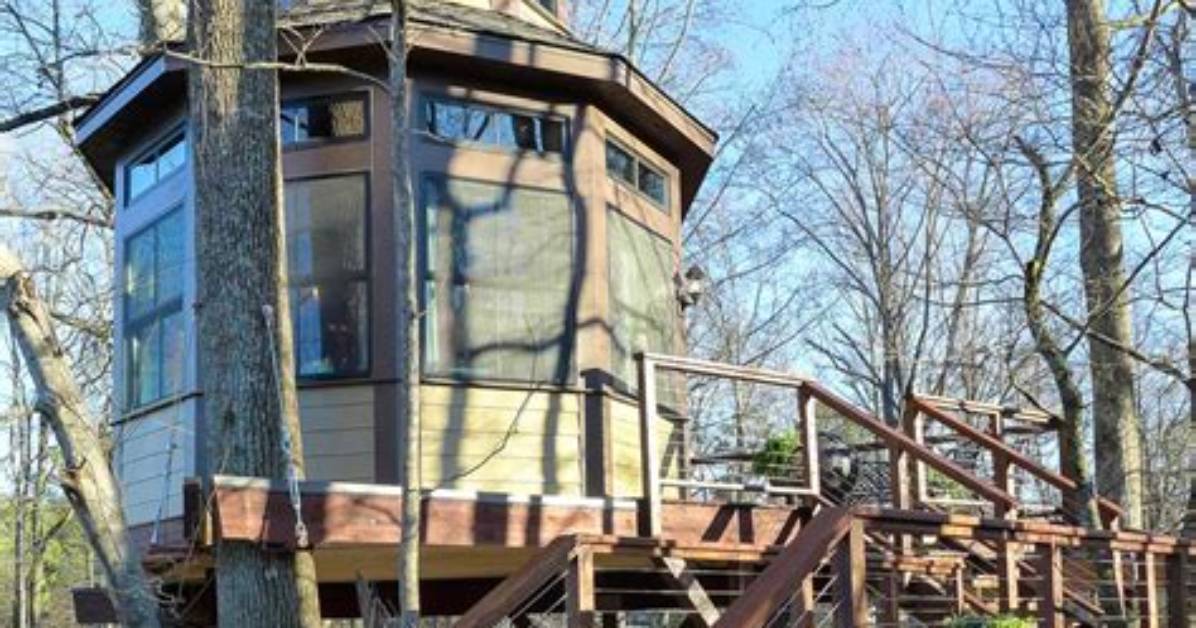 What Did Shaqs Treehouse Cost
