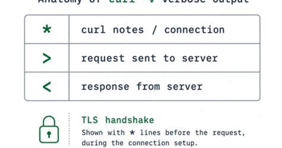 What Difference -v Verbose in Curl Makes?