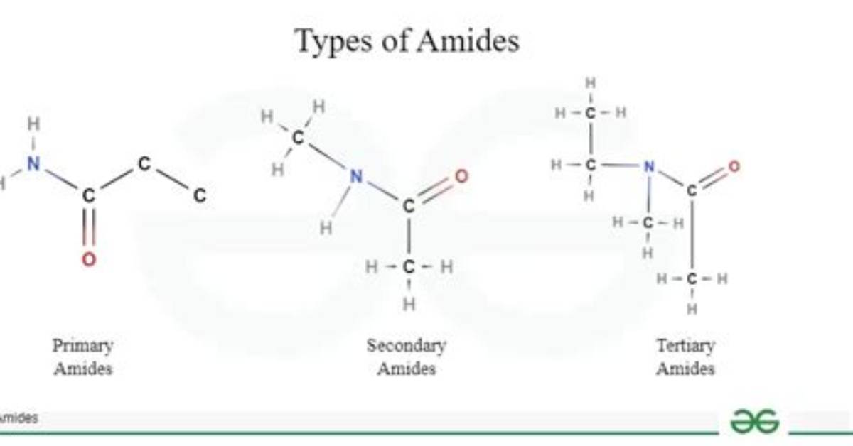 What Do Amides Do?