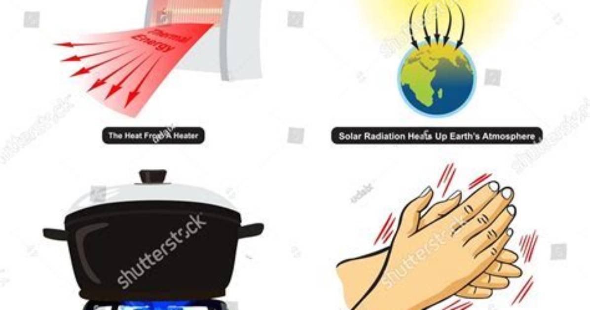 What Do Animals Do - Lisbd-Net. Com