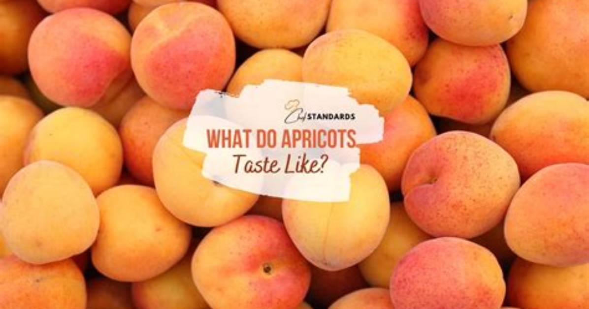 What Do Apricots Come from?