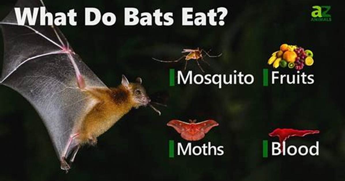 What Do Bats Eat