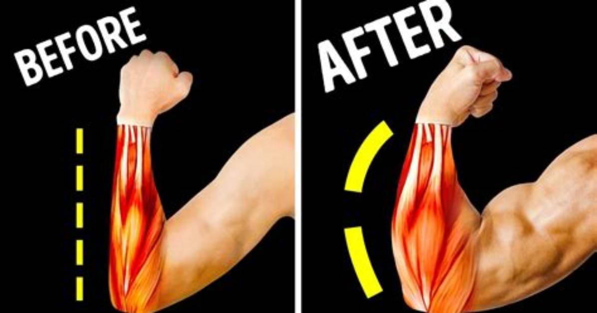 What Do Big Forearms Mean?
