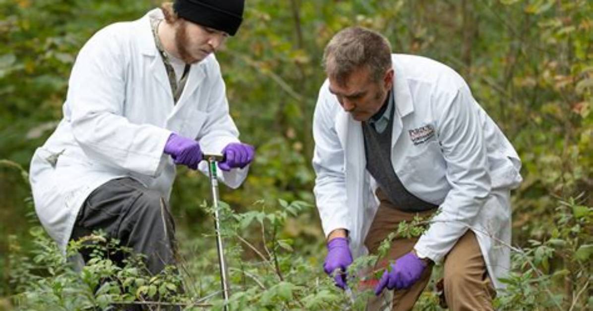 What Do Biologist Do?