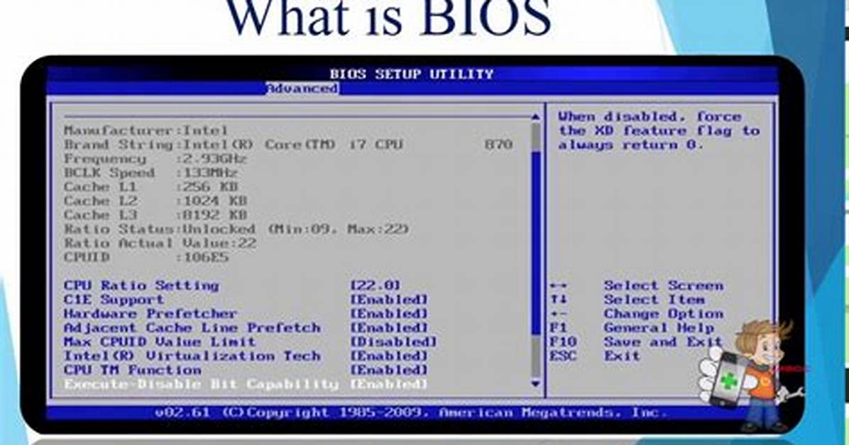 What Do Bios Mean?
