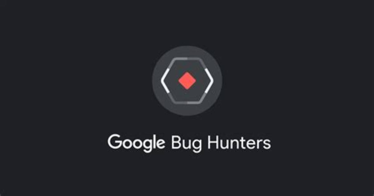 What Do Bug Hunters Do