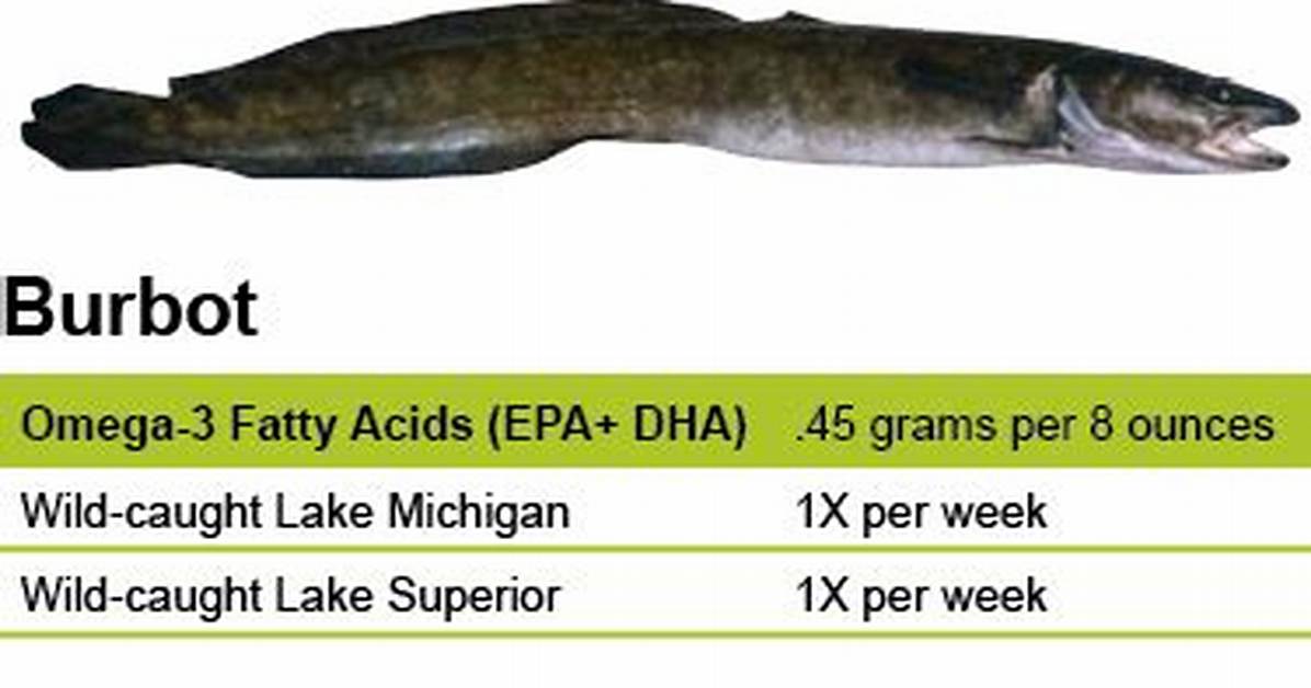 What Do Burbot Fish Eat?
