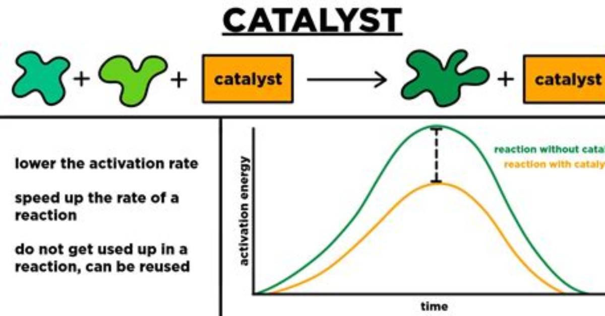 What Do Catalyst Do?