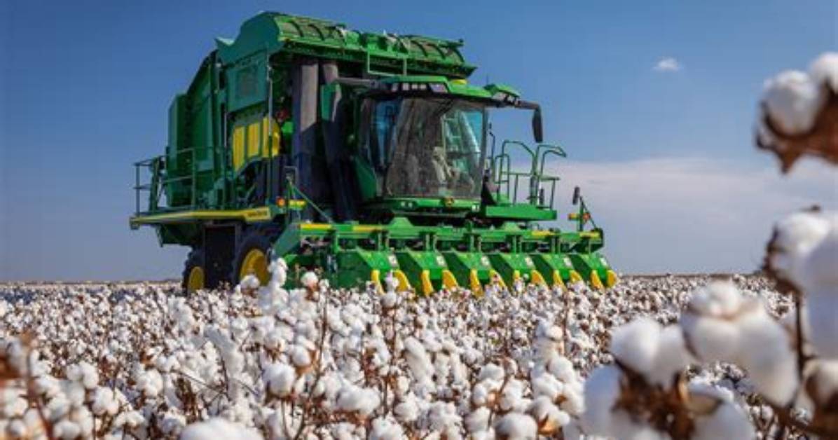 What Do Cotton Pickers Pick