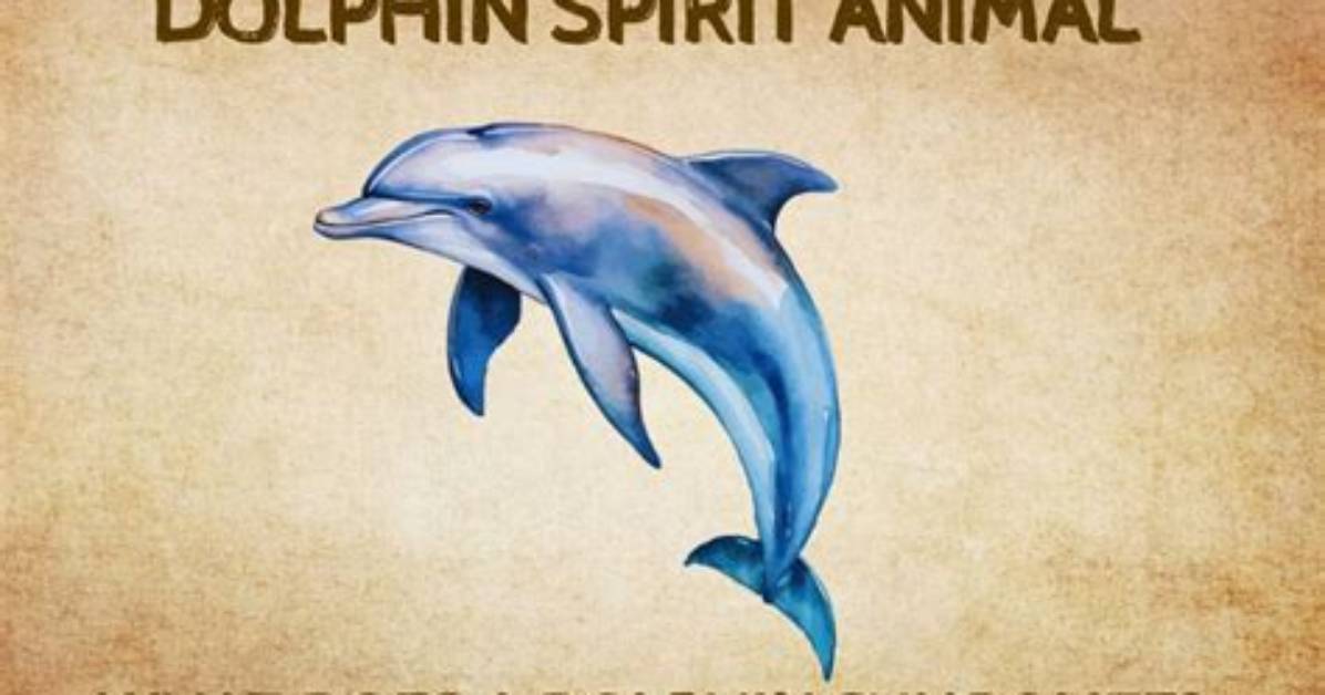 What Do Dolphins Represent