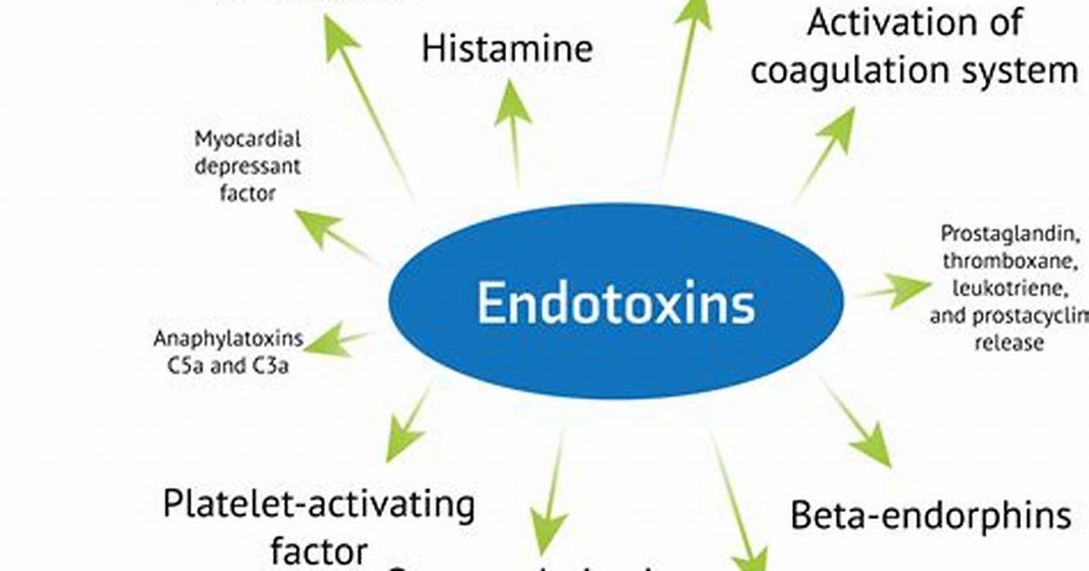 What Do Endotoxins Do