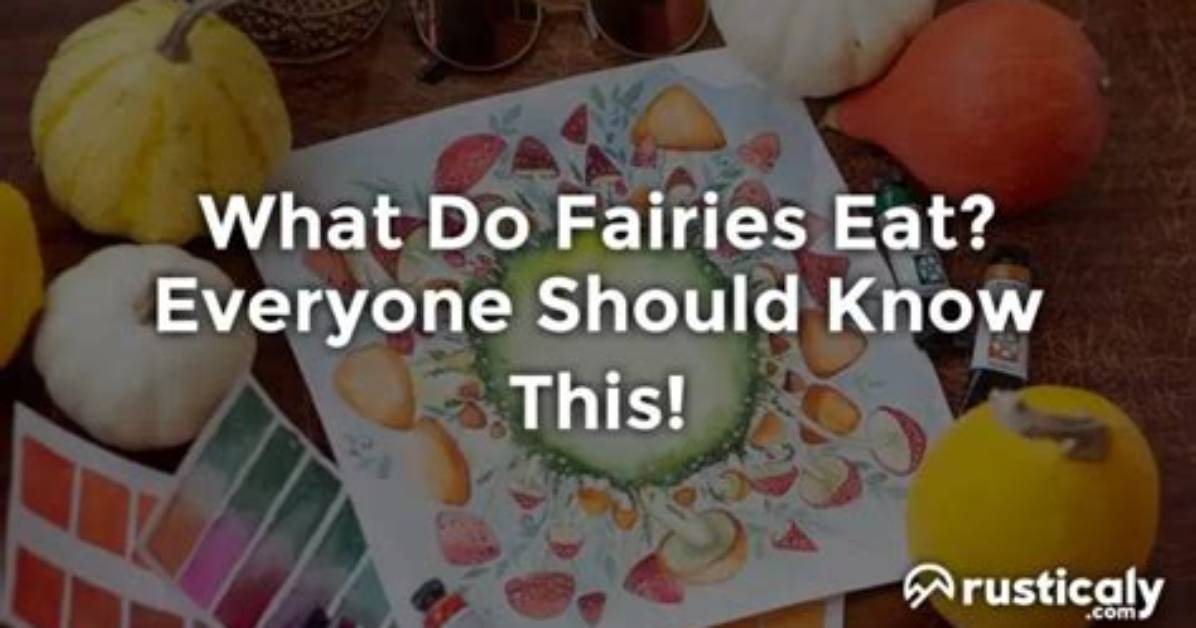 What Do Fairies Eat - How to Discuss