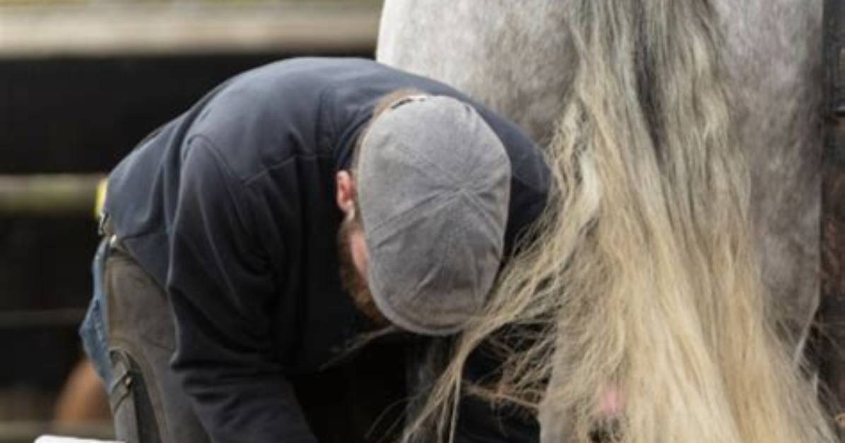 What Do Farriers Do?