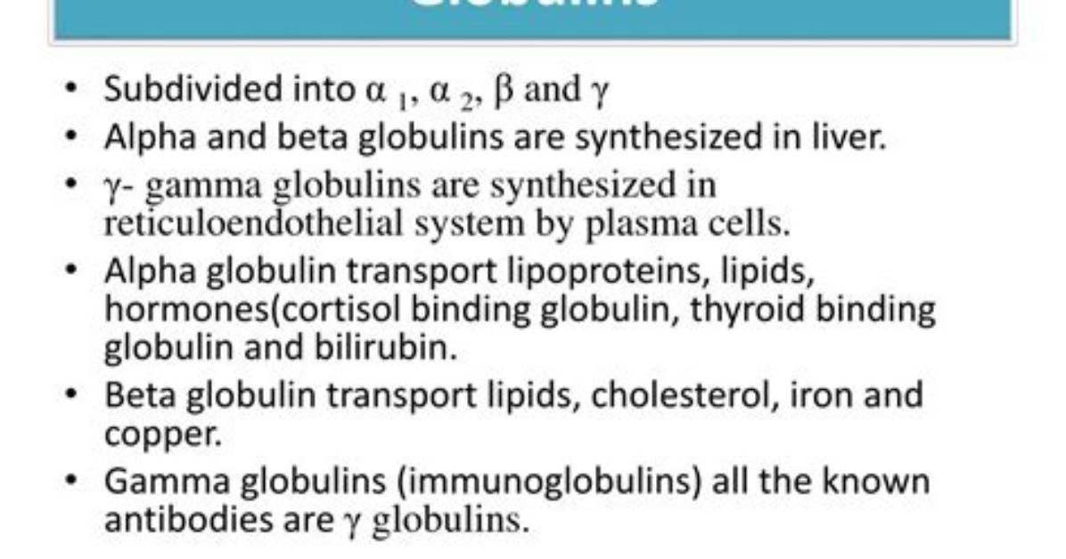What Do Globulins Do?
