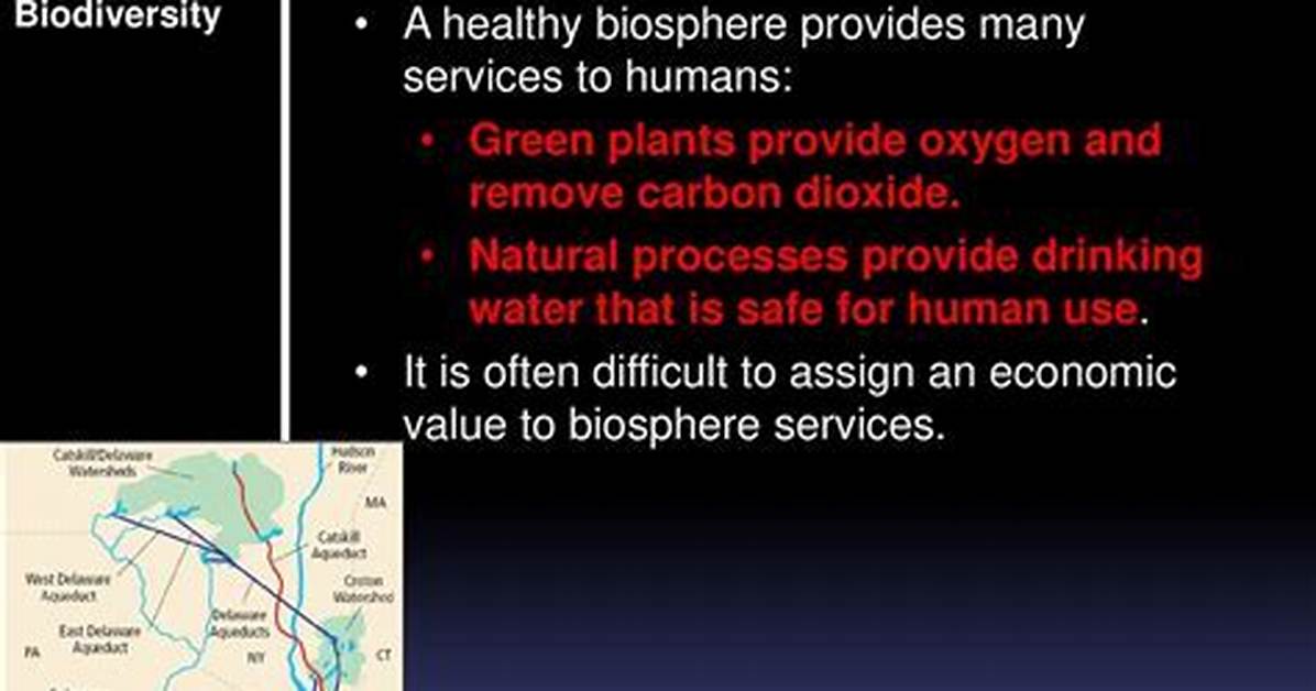 What Do Indirect Values of Biodiversity All Have in Common?