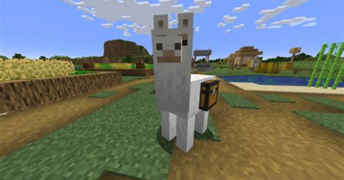 What Do Llamas Where in Minecraft?