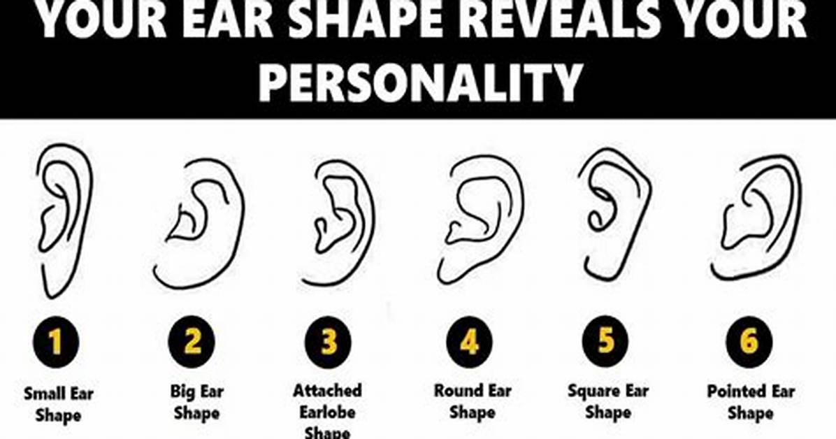 What Do Long Ears Signify