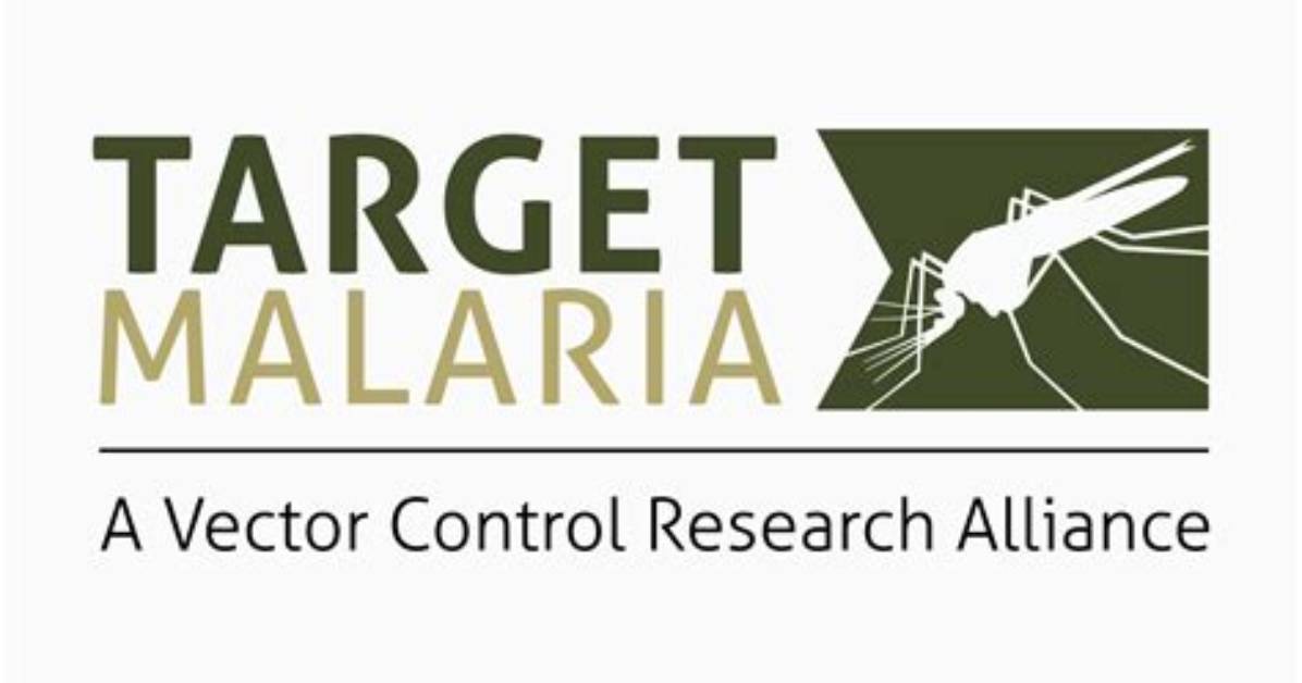 What Do Malaria Medications Target?