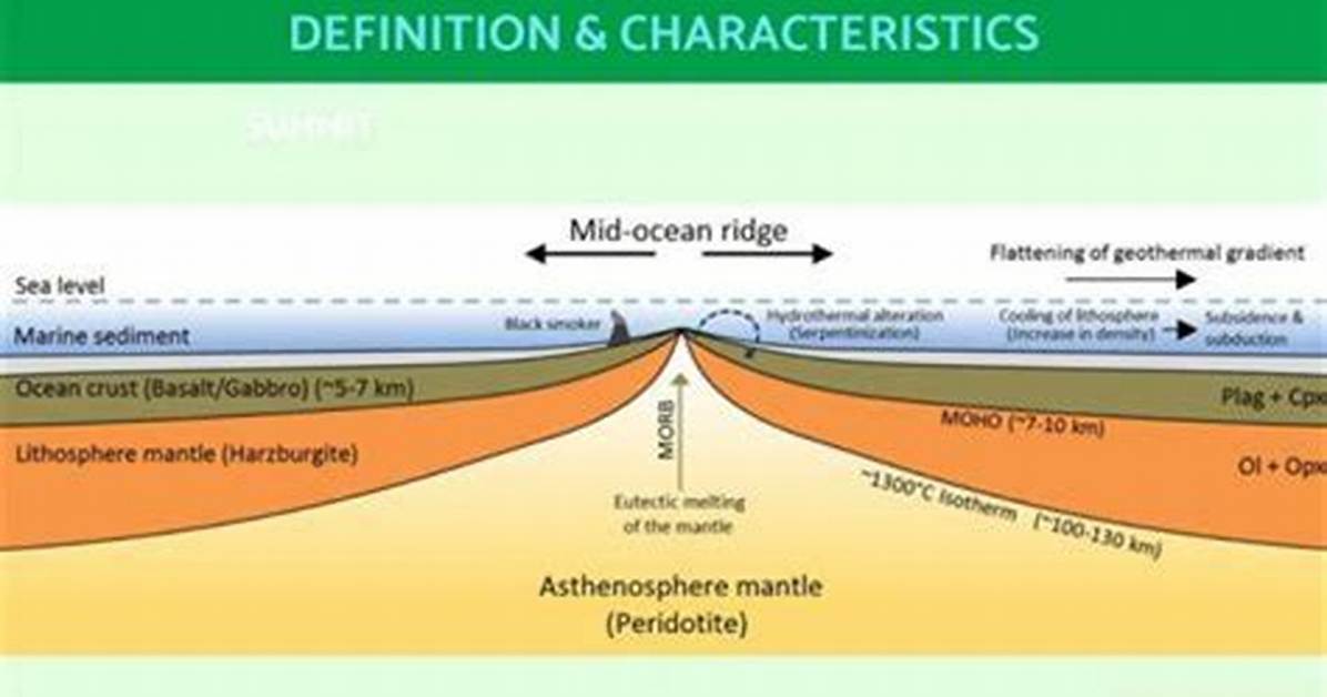 What Do Mid Ocean Ridges Have?