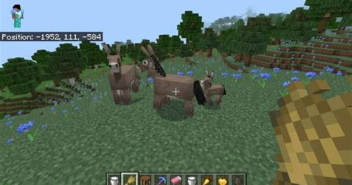 What Do Minecraft Donkeys Eat