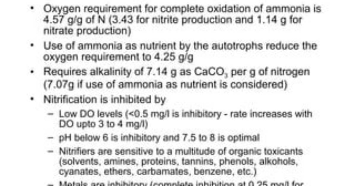 What Do Nitrifiers Do?