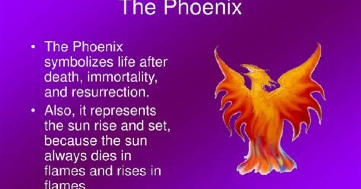 What Do Phoenixes Eat?