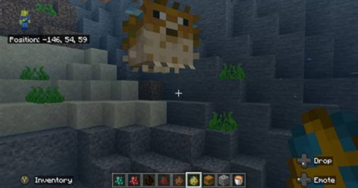 What Do Puffer Fish Do in Minecraft