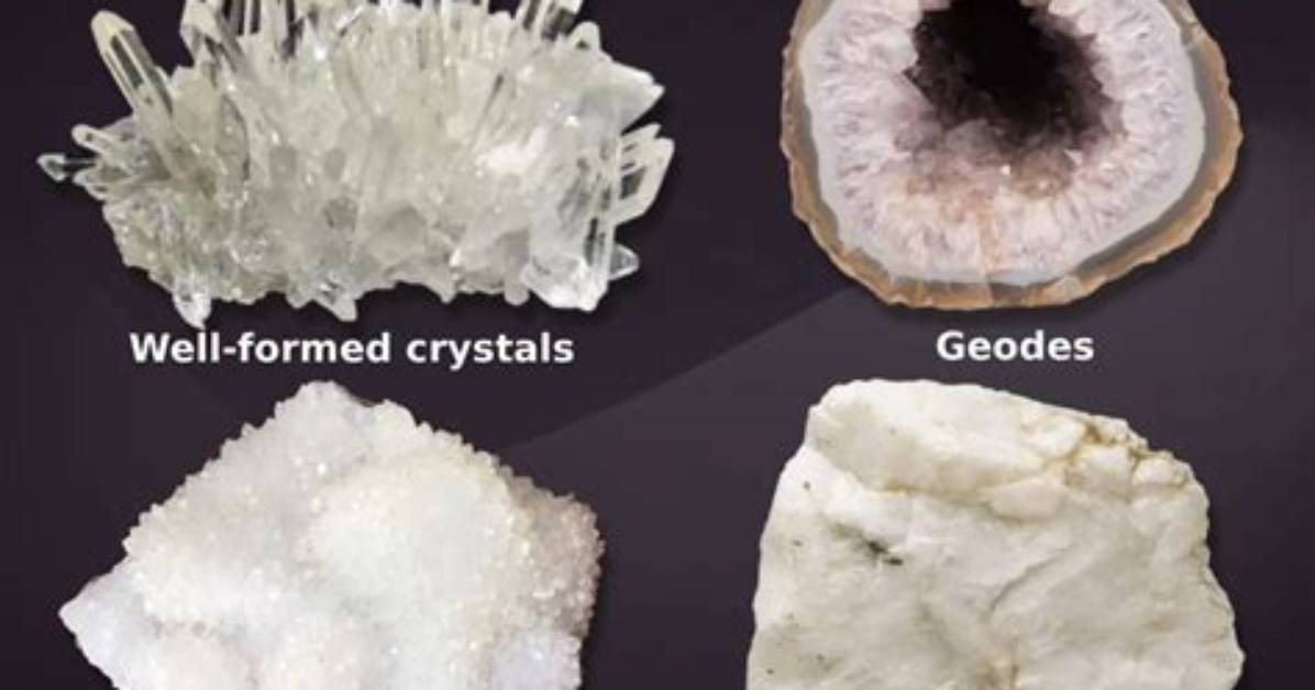 What Do Raphide Crystals Do