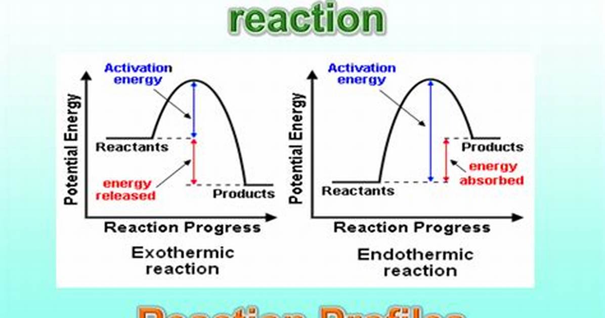 What Do Reaction Profiles Show