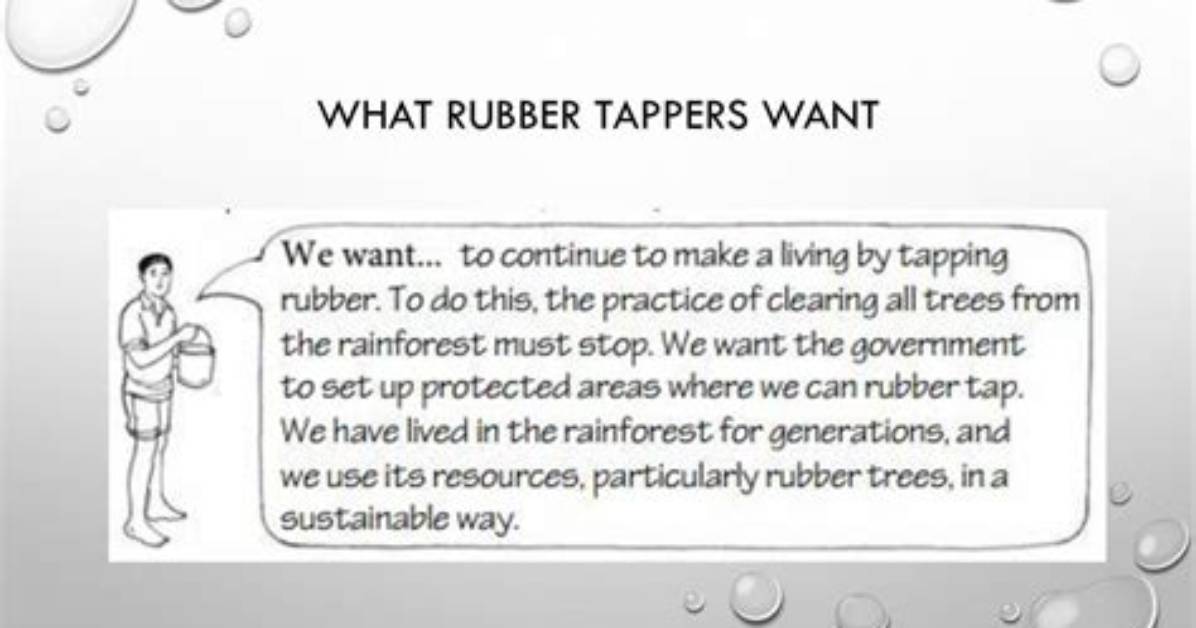 What Do Rubber Tappers Want?