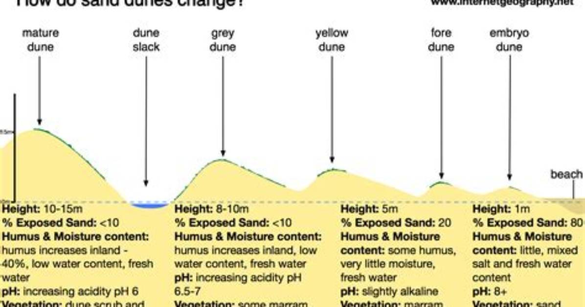 What Do Sand Dunes Do