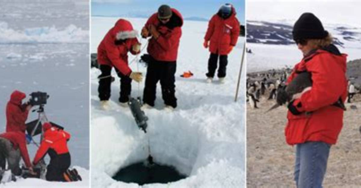What Do Scientists Study in Antarctica
