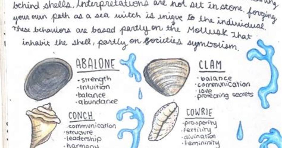 What Do Sea Shells Represent?