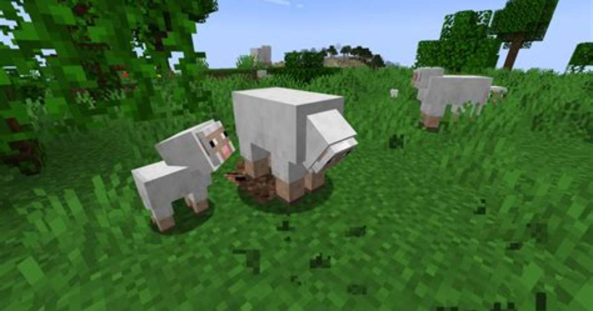What Do Sheep Eat in Minecraft