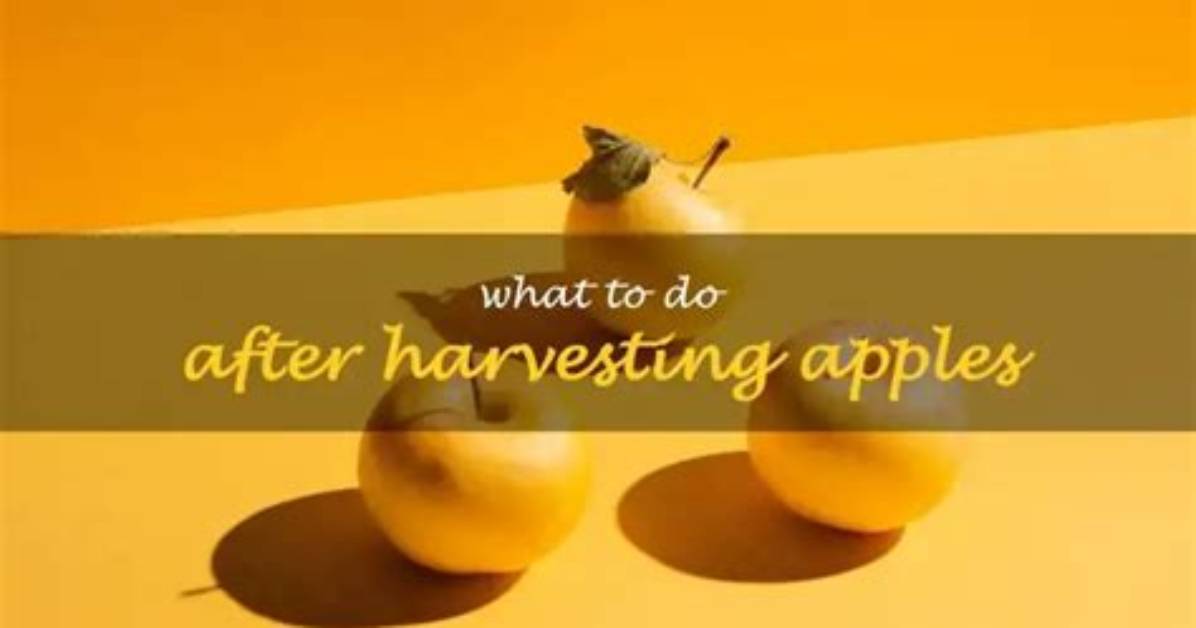 What Do the Apples Represent in After Apple Picking
