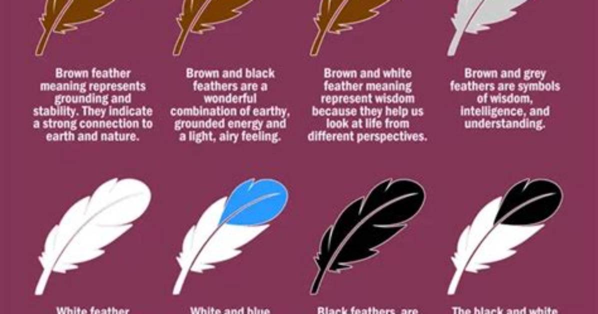 What Do the Feathers Represent on a Dreamcatcher?
