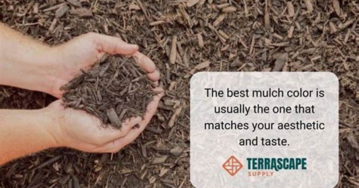 What Do They Dye Mulch With