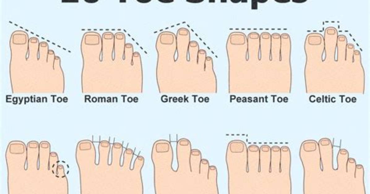 What Do Toe Sizes Mean