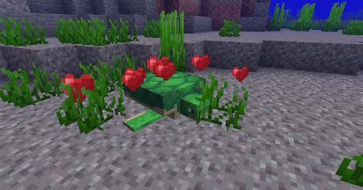 What Do Turtles Eat in Minecraft